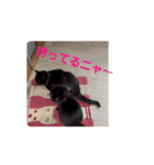 てんしの百合かご動くニャンズ（個別スタンプ：7）