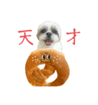 おこげと笑吉 4（個別スタンプ：1）