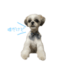 おこげと笑吉 4（個別スタンプ：2）