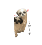 おこげと笑吉 4（個別スタンプ：3）