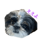 おこげと笑吉 4（個別スタンプ：4）