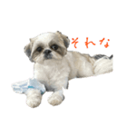 おこげと笑吉 4（個別スタンプ：5）