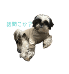 おこげと笑吉 4（個別スタンプ：6）