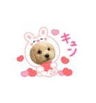 本日の大福（個別スタンプ：2）