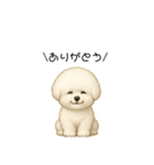 かわいい。ビションフリーゼ（個別スタンプ：5）