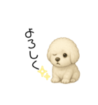 かわいい。ビションフリーゼ（個別スタンプ：6）