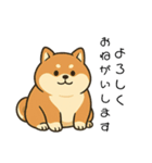 毎日使える会話【柴犬】（個別スタンプ：1）