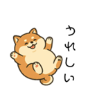 毎日使える会話【柴犬】（個別スタンプ：2）