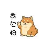 毎日使える会話【柴犬】（個別スタンプ：3）