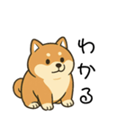毎日使える会話【柴犬】（個別スタンプ：5）