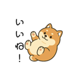 毎日使える会話【柴犬】（個別スタンプ：7）