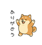 毎日使える会話【柴犬】（個別スタンプ：8）