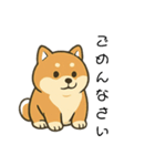 毎日使える会話【柴犬】（個別スタンプ：9）