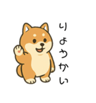 毎日使える会話【柴犬】（個別スタンプ：13）