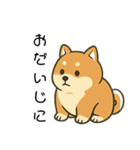 毎日使える会話【柴犬】（個別スタンプ：14）