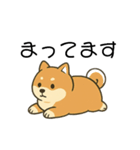 毎日使える会話【柴犬】（個別スタンプ：15）