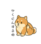 毎日使える会話【柴犬】（個別スタンプ：16）