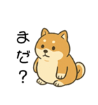 毎日使える会話【柴犬】（個別スタンプ：19）