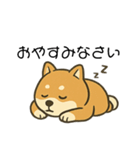 毎日使える会話【柴犬】（個別スタンプ：22）