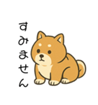 毎日使える会話【柴犬】（個別スタンプ：24）