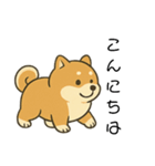 毎日使える会話【柴犬】（個別スタンプ：25）