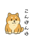 毎日使える会話【柴犬】（個別スタンプ：26）
