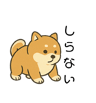 毎日使える会話【柴犬】（個別スタンプ：27）