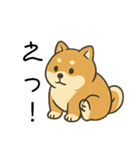 毎日使える会話【柴犬】（個別スタンプ：28）