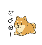 毎日使える会話【柴犬】（個別スタンプ：29）