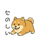 毎日使える会話【柴犬】（個別スタンプ：31）
