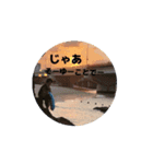 おもしろびっくり（個別スタンプ：3）