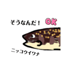 魚スタンプ第3弾リメイク（個別スタンプ：1）