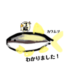 魚スタンプ第3弾リメイク（個別スタンプ：4）
