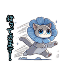 ネモフィラにゃん①………（個別スタンプ：32）