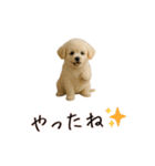 カップル用 犬や猫が気持ちを代弁スタンプ（個別スタンプ：15）