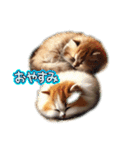 にゃんこの日常スタンプ✨（個別スタンプ：16）