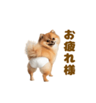 動く！おむつポメの日常（個別スタンプ：3）