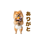動く！おむつポメの日常（個別スタンプ：7）