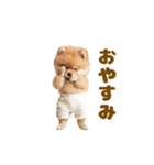 動く！おむつポメの日常（個別スタンプ：16）