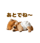 動く！おむつポメの日常（個別スタンプ：20）