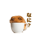 動く！おむつポメの日常（個別スタンプ：22）