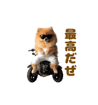 動く！おむつポメの日常（個別スタンプ：23）