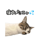 おなら猫トンボ先生②（個別スタンプ：7）