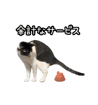 おなら猫トンボ先生②（個別スタンプ：16）