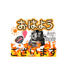動くうさちゃんリアクションスタンプ（個別スタンプ：1）