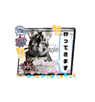 動くうさちゃんリアクションスタンプ（個別スタンプ：5）