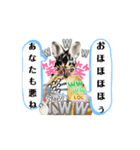 動くうさちゃんリアクションスタンプ（個別スタンプ：6）