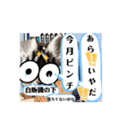 動くうさちゃんリアクションスタンプ（個別スタンプ：9）