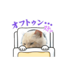 ハク(猫)の日常（個別スタンプ：3）