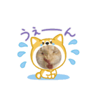ハク(猫)の日常（個別スタンプ：6）